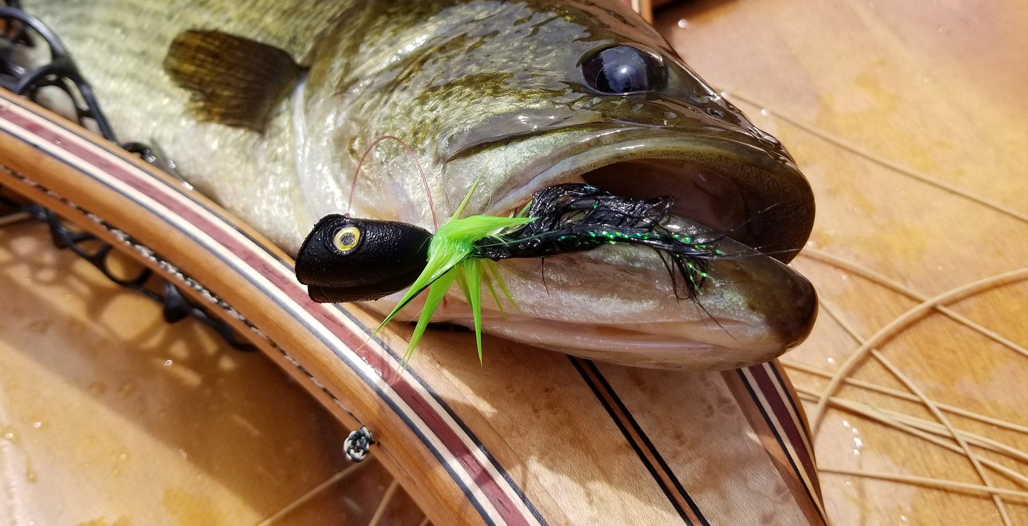 Bass fly swap 2.0