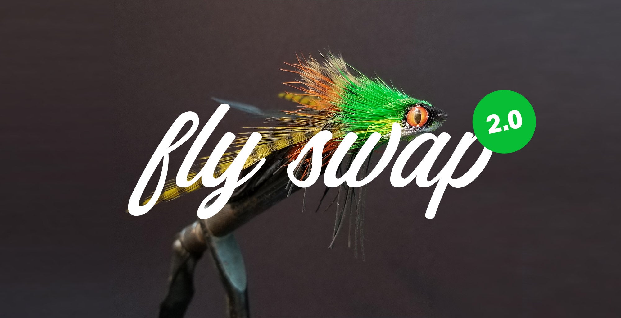 Bass fly swap 2.0